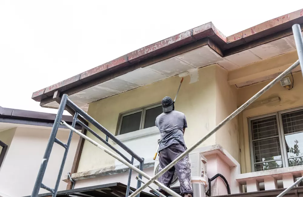 Aplicación Papel Decorativo